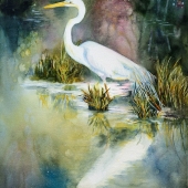 Jary (1) Img #1  Misty Domain