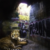 King (1) Img #1 Lost Habitats Tiger in a Dark Room