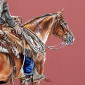 Koelln (1) Img #1  The Cowboy App