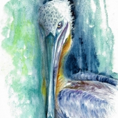 Kujan (1) Img #1  Priscilla