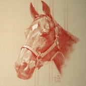 Miller-C (1) Img #2 Steadfast