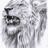 Mitchell-G (1) Img #1  The King Of Kruger