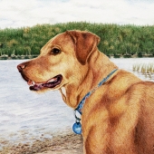 , 2/2/16, 12:59 PM,  8C, 6808x7808 (1091+2073), 108%, Art 1,  1/40 s, R109.3, G77.1, B89.6