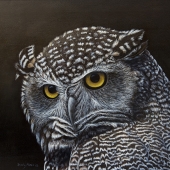 Moser (1) Img #4  Night Owl