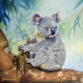 "This is my Branch!"