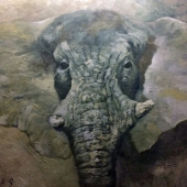 Otis (1) Img #2  The Elder