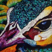 Ozoria (1) Img #1  The Secret