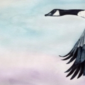 Palanuk (1) Img #5  Snow Bird