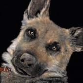 Palmer-A (1) Img #1  Love Me Forever Kaya