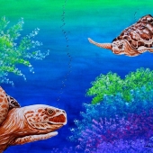 Sabo-C (1) Img #1 Sea Turtles