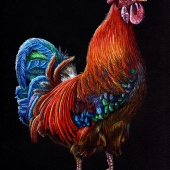 Sams (1) Img #1  Rooster