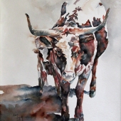 Smith-L (1) Img #1  Shadow Dancer