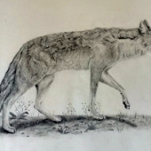 Spector (1) Img #1 Dry Spell