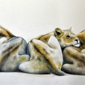 Spence-D (1) Img #2  Lean Times