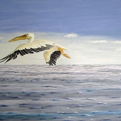 Stiehler (2) Img #1 Thermal Updraft