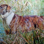 Teixeira (1) Img #1 Bordoga