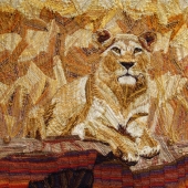 Thompson-S (1) Img #1  Mama Lion