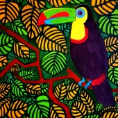 Tripathi (1) Img #1  The Toucan Bird