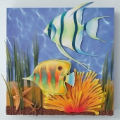 Vivo (1) Img #5  Tropical Fish