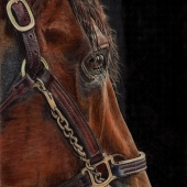 Ziegler (1) Img #1 Nyquist