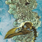 Garcia-A (2) Img #5  Raptor Sorcerer