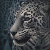 4th Place - Paint - Rubuls (1) Img #4  Jungle Grace