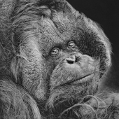 HM - Paint - Lee (1) Img #1  Kevin