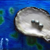 Roberts-D (1) Img #1 Tahitian Black Pearl Oyster