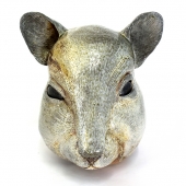 White-C (1) Img #4 Squirel