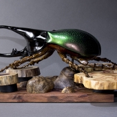 Yokotake (1) Img #2  Rhino