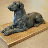 HM - 3D - Samia (1) Img #1  Sentinel