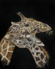 A - 1st Place - OA - Johnson (1) Img #5  Two Pair