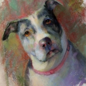 Bezich (1) Img #1  Nova