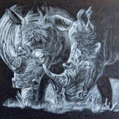 Calder (1) Img #1  Our Precious Rhinos