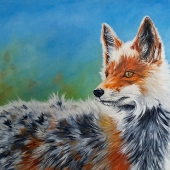 Case (1) Img #1  Spring Transformation