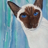 Cassin (1) Img #2  Arabella