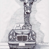 Chung (2) Img #1  Impatient Driver Giraffe