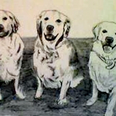 Clarke-P (1) Img #4  Were Ready