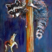 Corbett (3) Img #1  Racoon