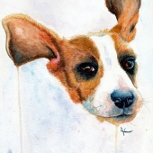 Cousineau (1) Img #1  I Can Fly