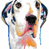 Cousineau (1) Img #3  Merlin