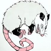 Dailey (1) Img #1  Lets Play