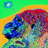 Edwards (1) Img #1  Harambe