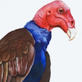 Elde (1) Img #4  Edgar