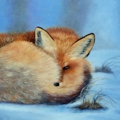 Hague (1) Img #1  Baby It's Cold Outside