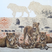 House (1) Img #2  Untitled