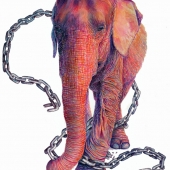 Kantola (1) Img #1  Breaking Chains