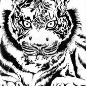 Karash (2) Img #2  Tiger