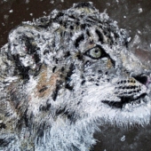 King (1) Img #1  Alone