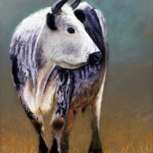 Kossow (1) Img #1  Cornwall